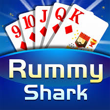 Rummy Shark