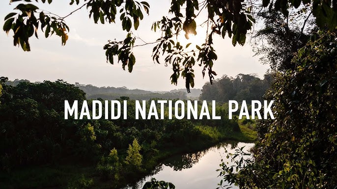 10 Most dangerous Places In The World | This Place Is Unsafe 12 10. Madidi National Park – A Jungle Paradise
